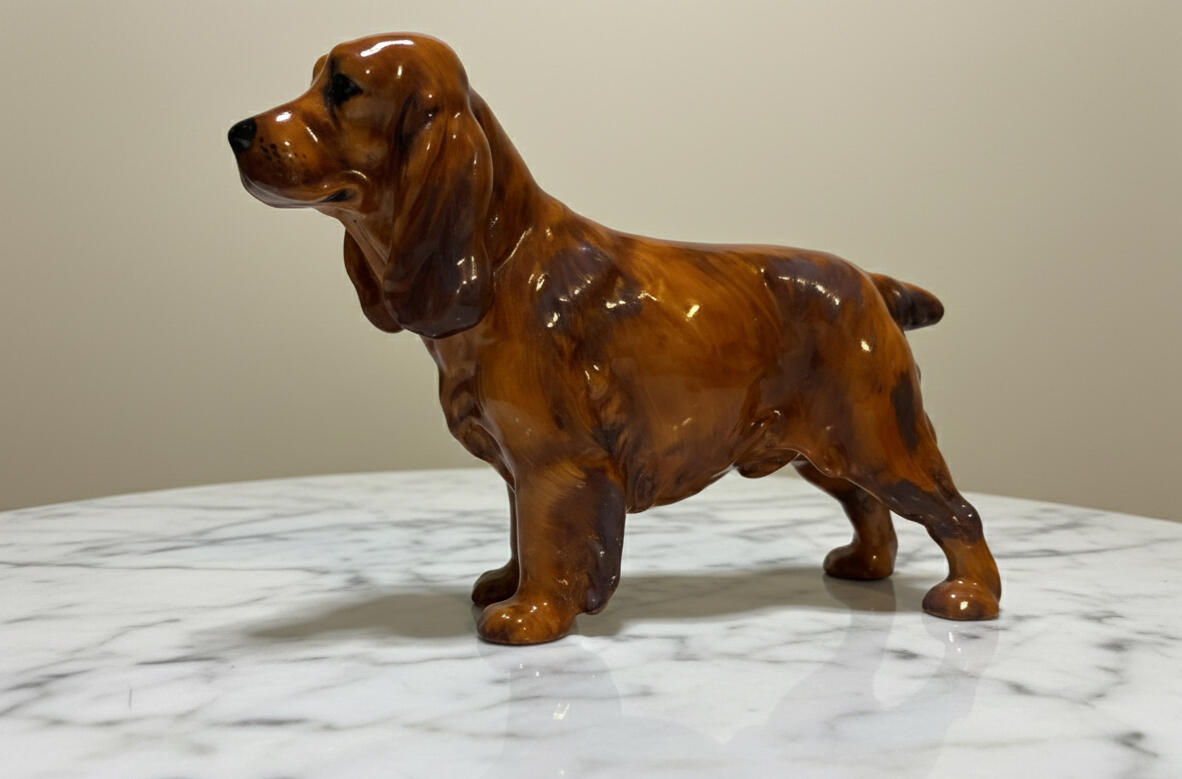 Spaniel - English Cocker
