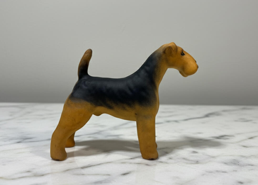 Welsh Terrier