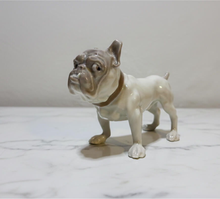 Bulldog