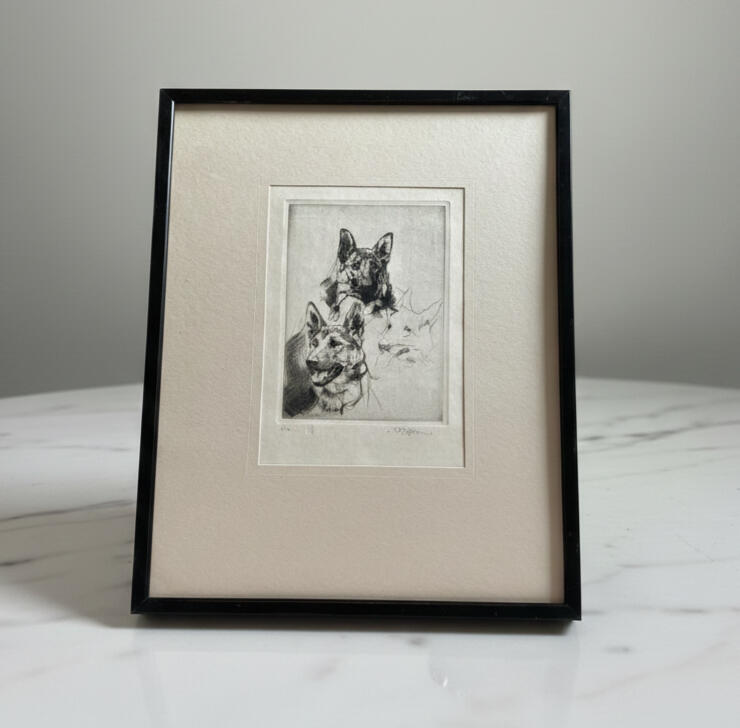 German Shepherds - three head studies