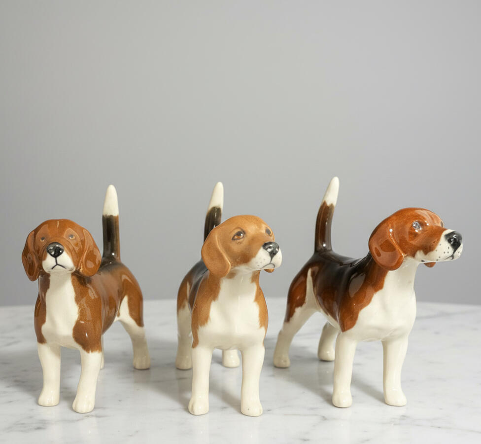 Beagles