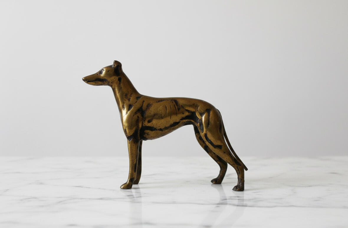 Sighthound: Greyhound/Whippet