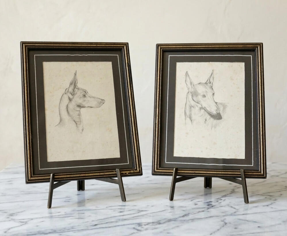 Pharaoh Hounds - Pair