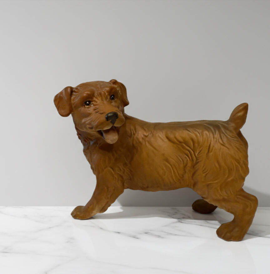 Norfolk Terrier