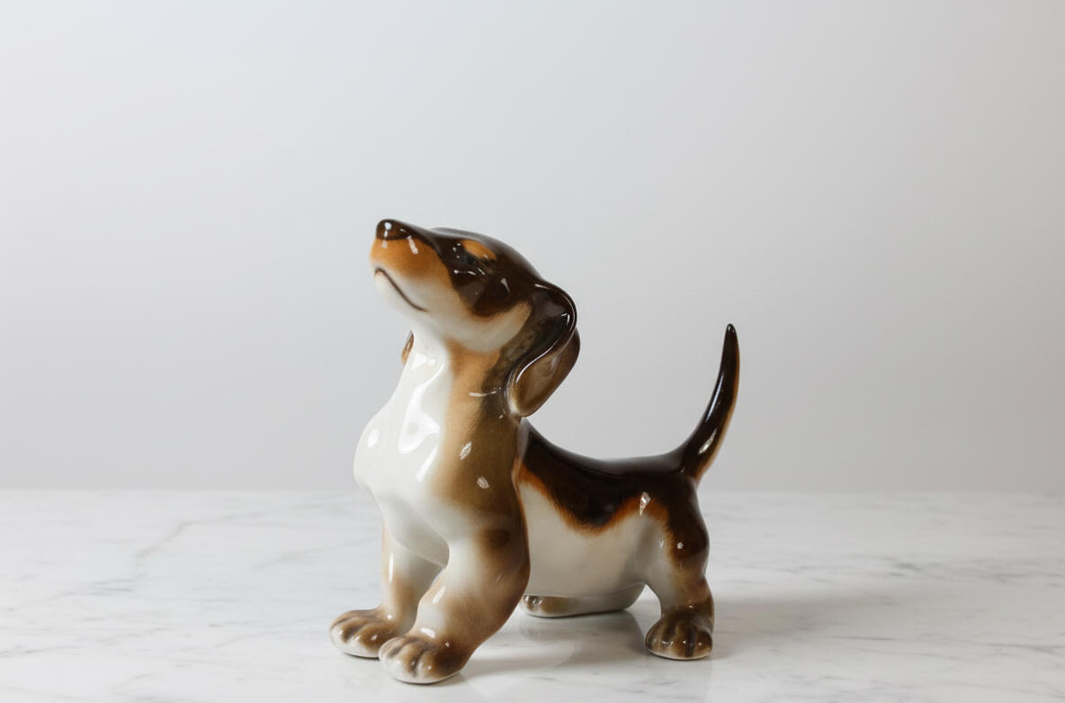 Dachshund - Smooth