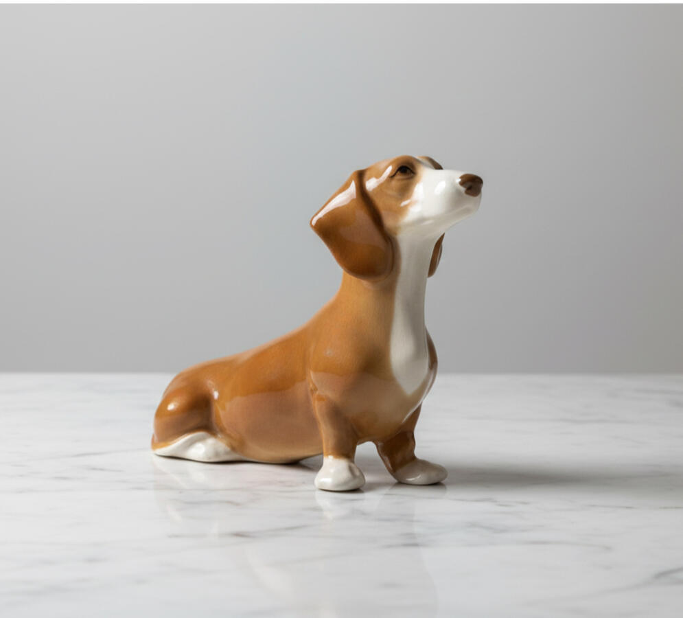 Dachshund - Smooth