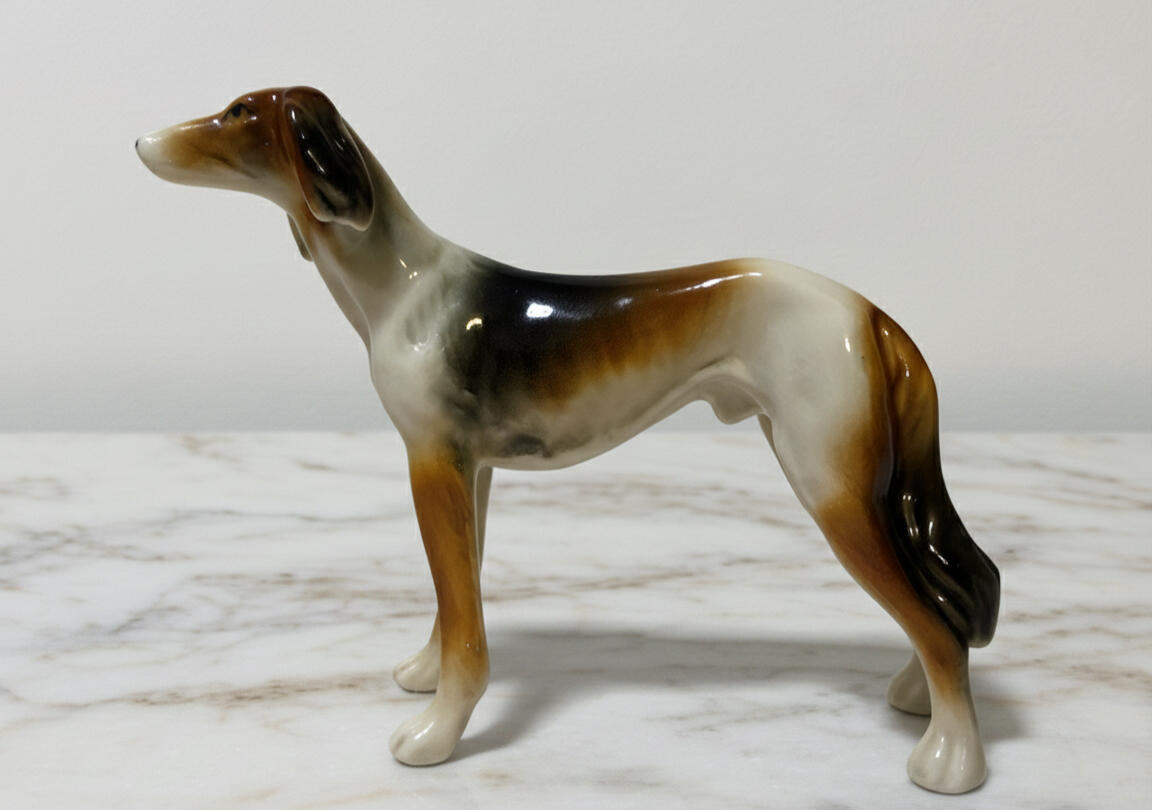 Saluki